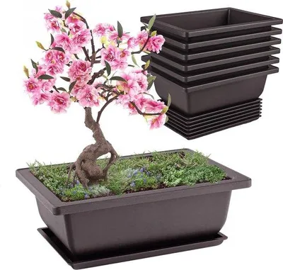 Immagine prodotto di Set di vasi per bonsai da 6 pezzi per interni/esterni
