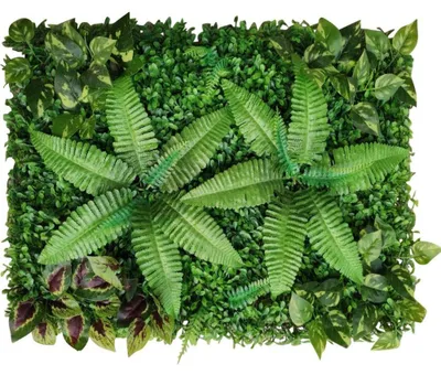 Produktbild von Dekorative Pflanzenwand für Hochzeiten und Gartendekoration