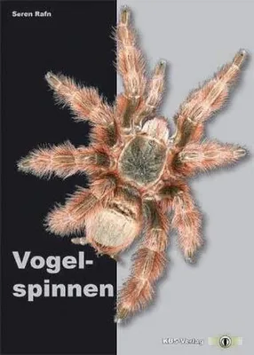 Produktbild von Vogelspinnen