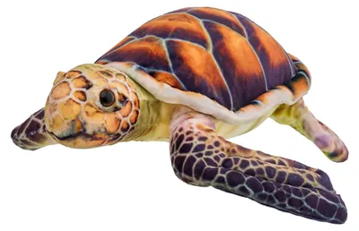Immagine prodotto di Tartaruga marrone 28 cm - Beppe