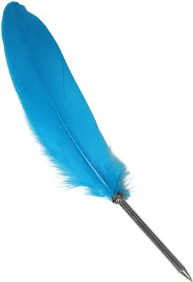 Image de Stylos plume - Plume naturelle avec encre noire
