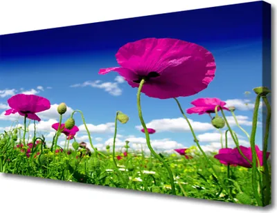 Produktbild von Tulup Leinwand-Bilder 100x50 Wandbild Canvas Kunstdruck Wiese Blumen Natur