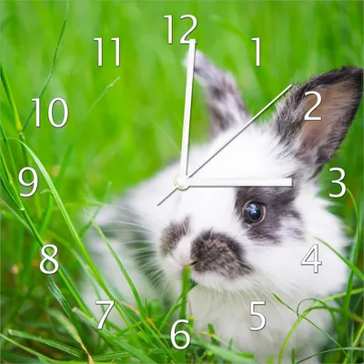 Produktbild von Wallario Design Wanduhr Süßer Hase im grünen Gras aus Echtglas, Größe 30 x 30 cm