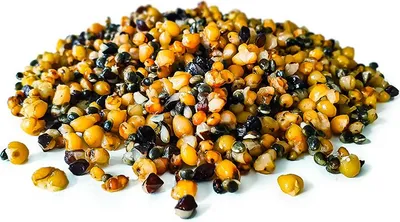 Produktbild von Golden Partikel Mix Angelfertig 20KG | Karpfen futter