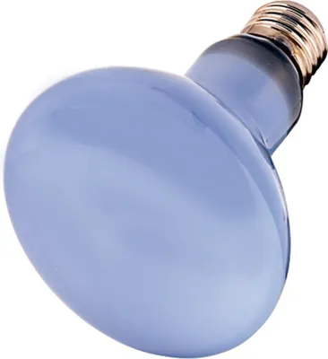 Productafbeelding van Hobby Neodymium Daylight Eco terrariumlamp daglicht halogeen UVA 28W | 42W | 70W | 108W 42 Watt
