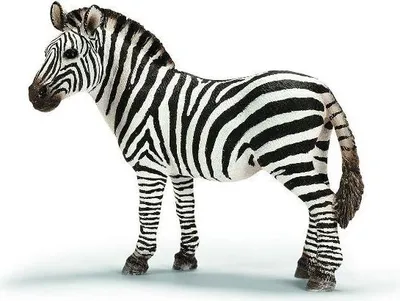 Produktbild von SCHLEICH - Wild Life, Zebra Stute (5 ct.)