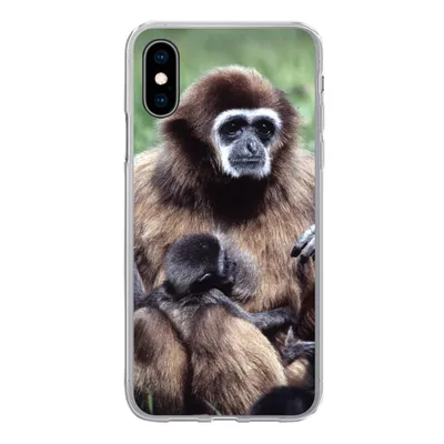 Produktbild von MuchoWow® Handyhülle Schutzhülle Hülle für iPhone X Affe - Pflanzen - Jung Silikon Softcase Handy Hülle - Handyhülle
