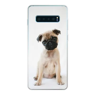 Produktbild von MuchoWow® Handyhülle Schutzhülle Hülle für Samsung Galaxy S10 Plus Hund - Haustiere - Porträt Silikon Softcase Handy Hülle - Schutzhülle
