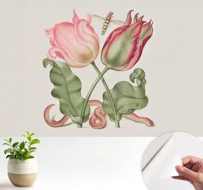Produktbild von Fototapete selbstklebend - 104x70 cm - Tapete - Wandtapete - Wandbilder - Klebefolie - Dekofolie - Tapete Folie - Wand - Dekoration - Wohnzimmer - Tulpenschönheit