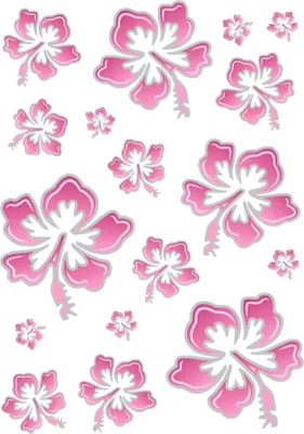 Produktbild von Hermann Schütz Aufkleber Hibiskusblüten-Set rosa-silber 17 Motive