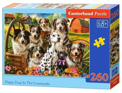 Zdjęcie produktu dla Puzzle 260 elementów Happy Dogs In The Countryside B-27699-1