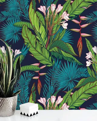 Produktbild von Coloray Fototapete 312x219 cm Latextapete Magicstick - Dschungel Monstera verlässt das Paradies