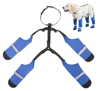 Immagine prodotto di Scarpe antiscivolo impermeabili per cani, ideali per l'inverno