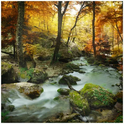 Produktbild von Wallario Wandbild aus Acryl, 50 x 50 cm, freischwebende Optik - Wasserfall mit moosbedeckten Steinen im Herbstwald