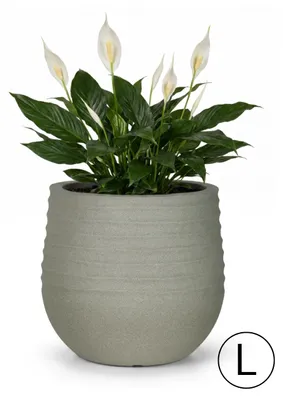Immagine prodotto di Vaso per Giardino Terrazzo Balcone Casa Mazovia Resistente al Gelo, ai Raggi UV, Impermeabile Grigio PP 54x54x49,5 cm