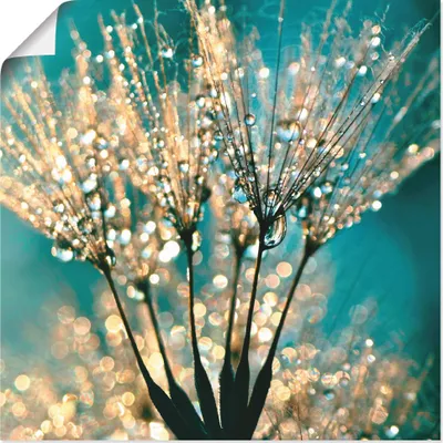 Produktbild von ARTland Poster Pusteblume Schirmchen abstrakt Größe: 50x50 cm