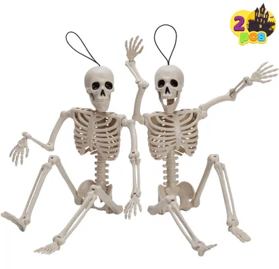 Obrázek produktu pro Dekorace na Halloween – 2 pohyblivé kostry – 41 cm – Pohyblivé klouby – Vhodné pro venkovní použití – Ideální pro strašidelné domy