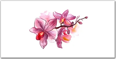 Produktbild von Coloray Bild aus Leinwand 100x50 Leinwand Dekoration - Blumen Zweigwerk
