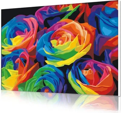 Zdjęcie produktu dla Vikpap W3201 - Obraz liczbowy, płótno 50 × 40 cm - Tęczowe róże