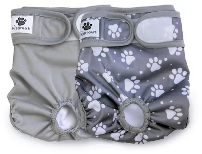 Image de Couche pour chiennes, très absorbante, lavable et réutilisable, taille DDFM05, pour chiens