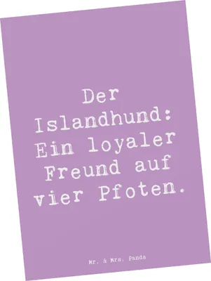 Produktbild von Mr. & Mrs. Panda Postkarte Spruch Treuer Islandhund - Lavendeltraum - Geschenk, Hund, loyaler, Grußkarte, Ansichtskarten, Postkarten, Hunderasse, Ansichtskarte, Hunde