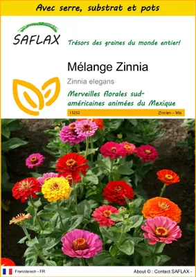 Image de SAFLAX Ensemble de culture - Mélange Zinnia - 50 graines - Zinnia