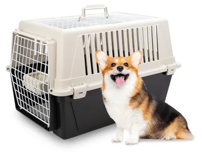 Produktbild von Ferplast Trasportino Cani Piccoli Trasportino Gatti max 12 Kg ATLAS 30 OPEN con