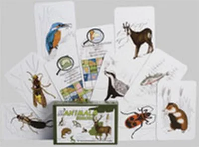 Produktbild von Manimals Europa 1  - Kartenspiel - Adlung 71048