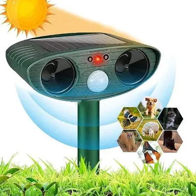 Image de Répulsif solaire pour chats de jardin