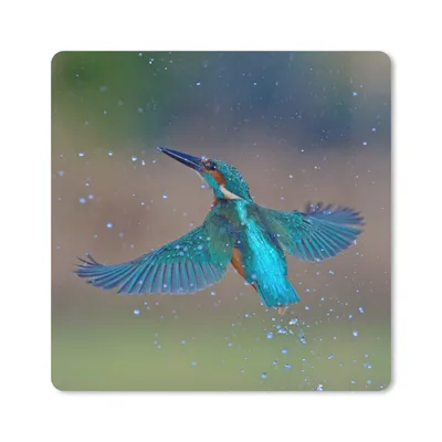 Produktbild von MuchoWow® Mauspad Mousepad Eisvogel - Fliegen - Blau 20x20 cm - Mousepads - Maus Mat - Pad - Mausunterlage - Desk Mat - Bureauartikeln