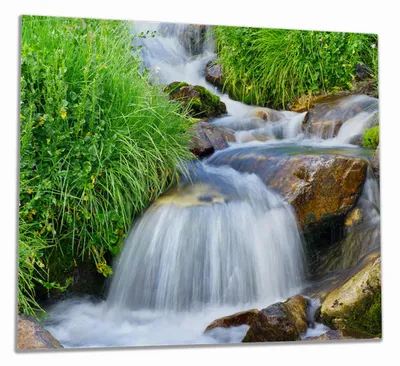 Produktbild von Wallario Herdabdeckplatte aus Glas, Größe 60 x 52 cm 1-teilig, Motiv Kleiner Bach über Steine