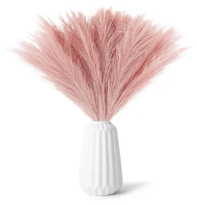 Image de Pampa, fleurs séchées, rose, 30 pièces, herbe artificielle, décoration