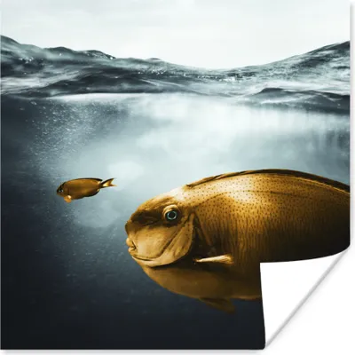 Produktbild von MuchoWow® Poster Meer - Fisch - Gold 75x75 cm - Wand Dekoration