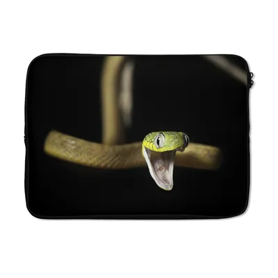 Produktbild von MuchoWow® Laptop Hülle 14 ZollSchlange - Tier - Schwarz Laptoptasche - Laptoptasche - Stoßsicher - Schutzhaube