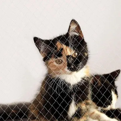 Produktbild von Famanu Katzennetz Balkon - Schutznetz für Katzen - 4 x 10 Meter