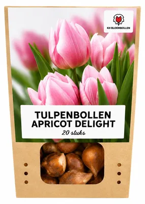 Productafbeelding van Tulpenbollen 'Apricot Delight' | 20 Stuks | Roze Apricot Tulp - 30-50cm - Ø5cm - Bloembol - Tuinplant