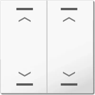 Image de MDT Bascule KNX Bouton Light 55, double, blanc pur brillant, store, 1 pièce.