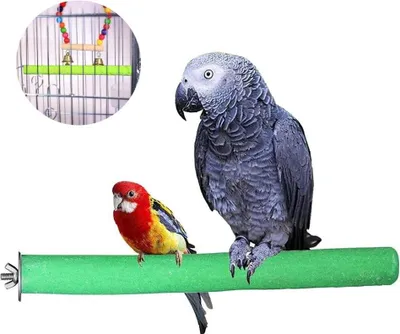 Produktbild von Sitzstangen für Vogelkäfige - Geeignet für alle Arten von Papageien, Aras, Wellensittiche - 20 cm, 3 Stück