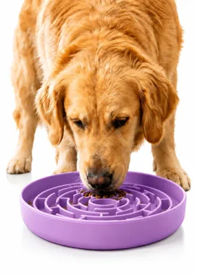 Imagen del producto de Solidchoice - Comedero lento para perros y gatos, con ventosa