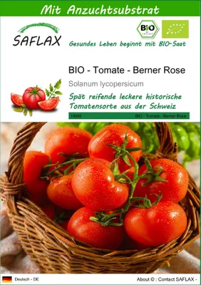 Produktbild von SAFLAX - BIO - Tomate - Berner Rose - 10 Samen - Mit keimfreiem Anzuchtsubstrat - Solanum lycopersicum