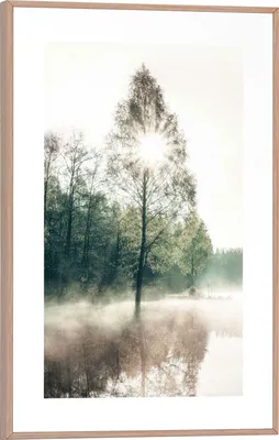Produktbild von Wandbild - Grün - Weiß - Braun - 20 x 30 cm - Sonnenstrahl durch Baumlandschaft