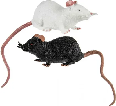 Produktbild von Dehnbare Ratte als Spielzeug 23 cm | Schwarz / Weiß