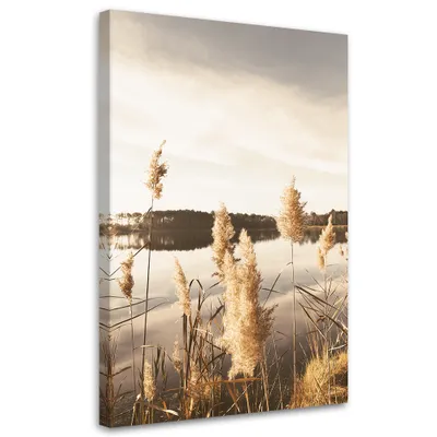 Produktbild von Leinwandbild Pampasgras am See 40x60 Feeby Beige bild für die wand bereit zum aufhängen