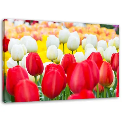 Image de Toile multicolore tulipes 90x60 cm Feeby couleur tableau mural prêt à accrocher