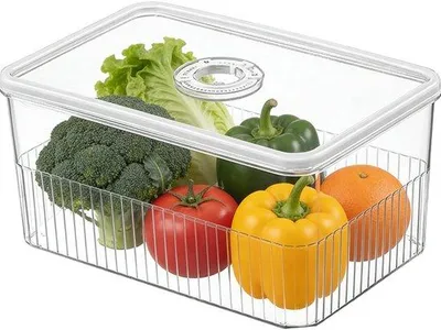 Obrázok produktu pre Organizátor do chladničky z plastu s veľkou kapacitou – 24,5 x 16,2 x 11,5 cm