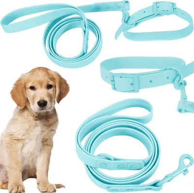 Image de Laisse et Collier Pour Chien Puppyjoy PJ-074 M Blue