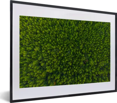 Produktbild von MuchoWow® MuchoWow® Gerahmtes Poster Wald - Baum - Grün 40x30 cm - Poster mit zchwarzem Bilderrahmen - Bilderrahmen - Poster im Rahmen