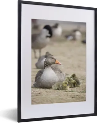 Produktbild von MuchoWow® MuchoWow® Gerahmtes Poster Gans - Familie - Küken 30x40 cm - Poster mit zchwarzem Bilderrahmen - Wandposter Schlafzimmer