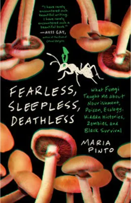 Obrázek produktu pro Fearless, Sleepless, Deathless