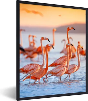 Produktbild von MuchoWow® Gerahmtes Poster Flamingo - Tiere - Wasser - Rosa 60x80 cm - Poster mit Schwarzem Bilderrahmen Wandposter Rahmen Foto Bilder - Premium - Wanddeko Wohnzimmer